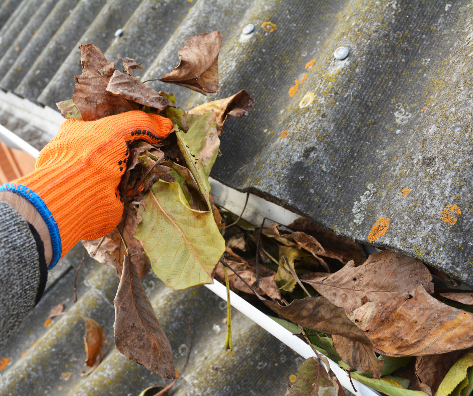 Clean the gutters on your metal roof