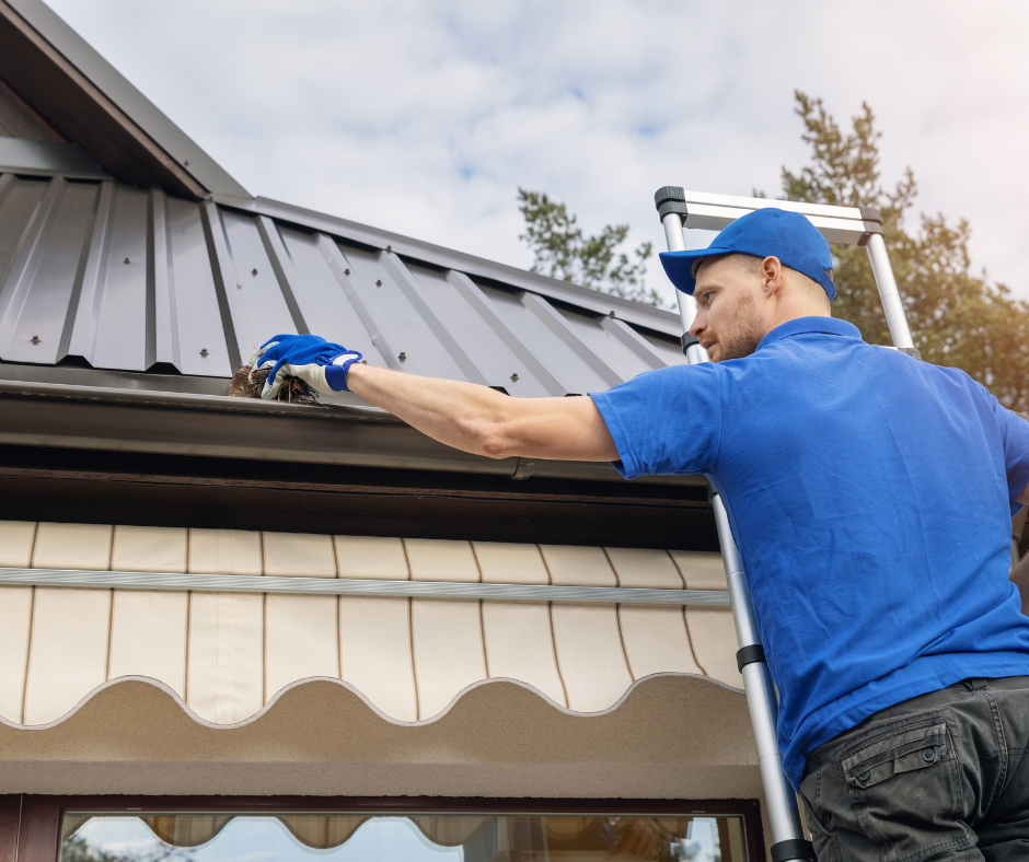 Keep your metal roof clean